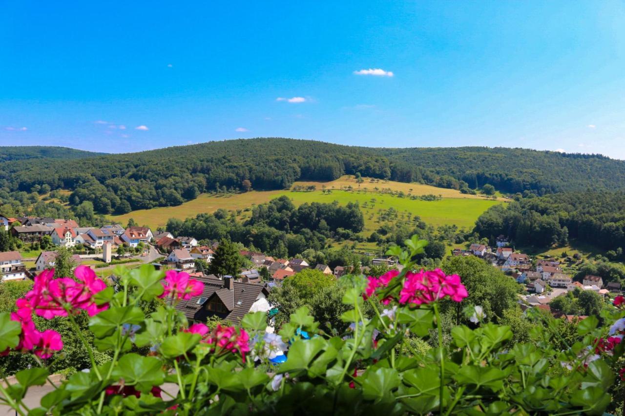 Panorama Hotel Heimbuchenthal Exteriér fotografie