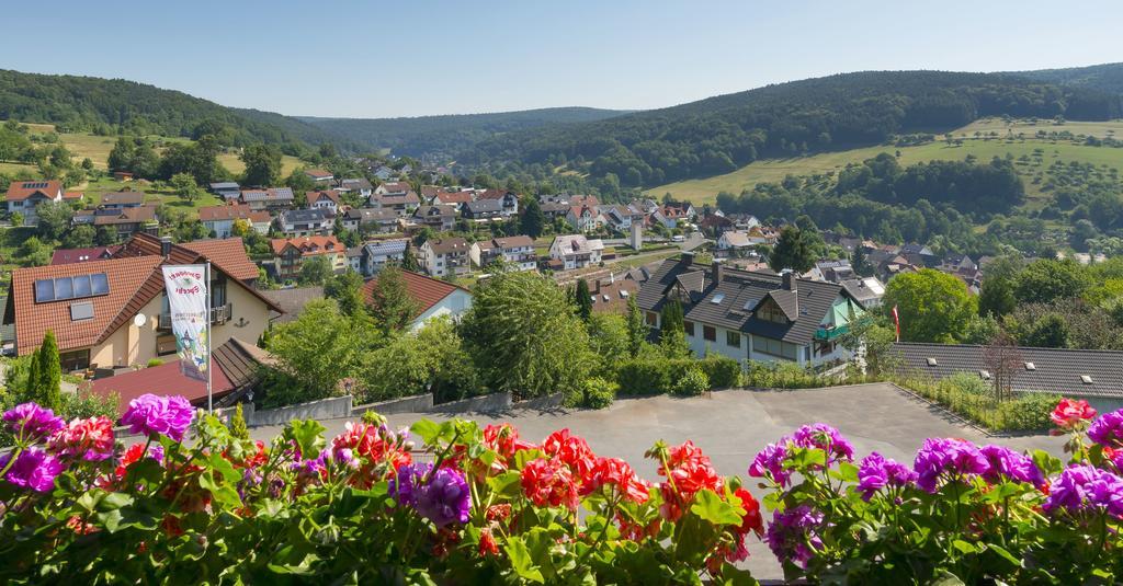 Panorama Hotel Heimbuchenthal Exteriér fotografie